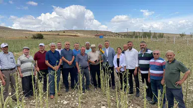 “Dolu Vuran Yerlere Afet Bölgesi Olsun”
