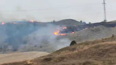 Hızlı Müdahale ve Yağış, Yangını Söndürdü
