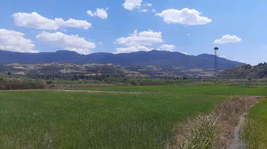 Leyleklerin İki Aylık Molası