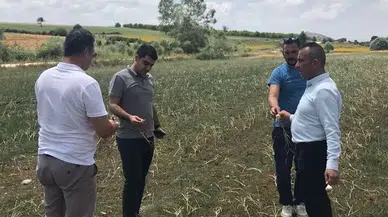 Sarımsak Üreticilerine Üretim Teknikleri Anlatıldı