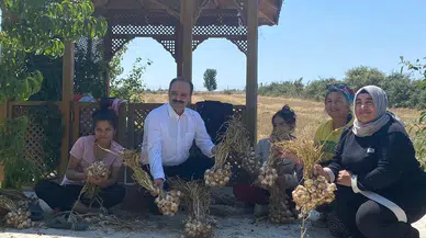 Sarımsak Üretimi Yapan Kadınlara Ziyaret