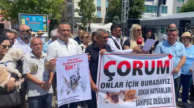 Tahtasız, Hayvanseverleri Yalnız Bırakmadı