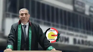  ‘Yasa Teklifi Hayvan Katliamına Neden Olacak’