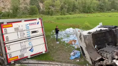 Yoldan Çıkan İki Tır Çeltik Tarlasına Devrildi