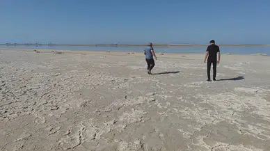 Arin Gölü Renkli Konuklarını Ağırlamaya Başladı