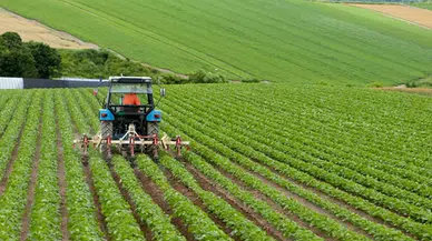 Çorum Tarım Zirvesine Ev Sahipliği Yapacak