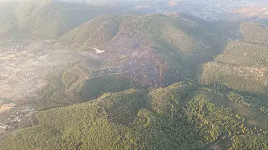 Bodrum’da Orman Yangına 18 Saat Sonra Denetim Altına Alındı