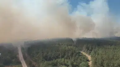 Bursa’da Çıkan Orman Yangınıyla İlgili Cumhuriyet Başsavcılığı Soruşturma Başlattı