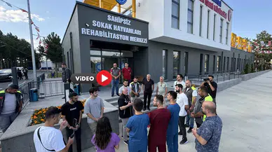 Çorum’da Sahipsiz Hayvanlar Doğal Yaşam Alanlarına Taşınacak
