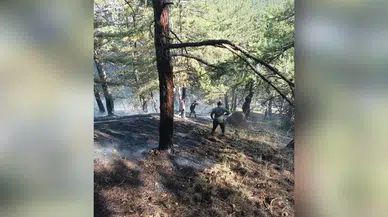 3 Dekarlık Alan Yandı