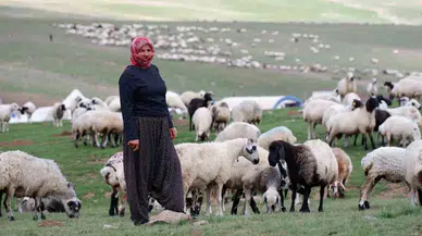 Erzurum’da 3 Bin Rakımda 3 Yüz Çadır Kurulu