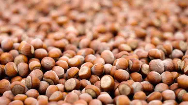 Ferrero Sürdürülebilir Fındık İçin Kaydettiği Güçlü İlerlemeyi ve Yeni Periyot Gayelerini Açıkladı