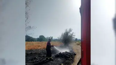 Örtü Yangınında Ağaçlar Zarar Gördü