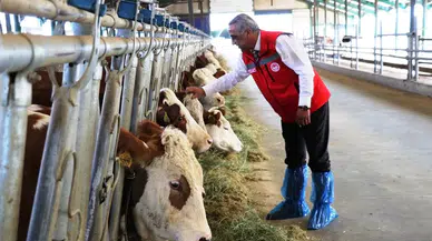 Hastalıktan ’Ari İşletmelerin’ Avantajları