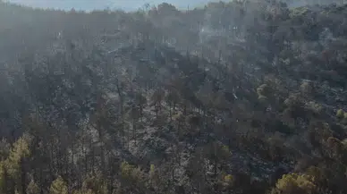İzmir’de Yangının Çıktığı Nokta Olarak Bedellendirilen Bölge Havadan Görüntülendi