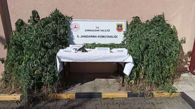 Jandarmanın Eş Vakitli Uyuşturucu Operasyonunda 3 Tutuklama