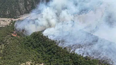 Karabük’te Yıldırım Orman Yangınına Neden Oldu
