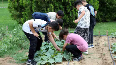 Karatay Tabiat Mektebi Yaz Devri Eğitimleri Sürüyor