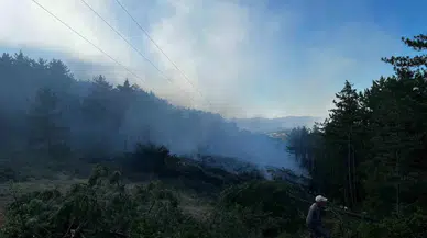 Kastamonu’da Orman Yangını: 2 Hektarlık Alan Ziyan Gördü