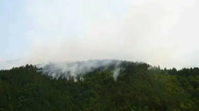 Kastamonu’da Yıldırım Sebebiyle Çıkan Orman Yangına Müdahale Sürüyor