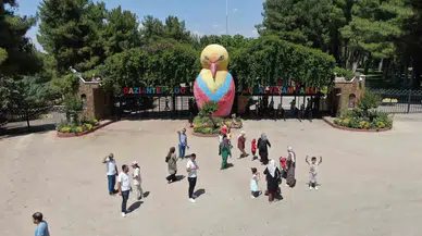 Kavurucu Sıcaklarda Hayvanlar Buzlu Kokteyl ile Serinliyor