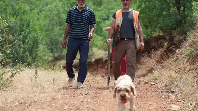 Kent Şehir Gezerek Köpeğiyle ‘Kara Elmas’ Arıyor