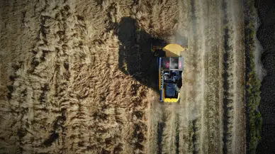 Konya’da Hububat Hasadında Kuraklık Alarmı