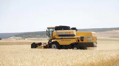 Kütahya’da Yerli Arpa Çeşidi ’Ayrancı’nın Hasadı Yapıldı