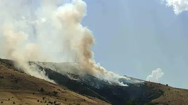 Muş’ta Çıkan Örtü Yangını Denetim Altına Alındı