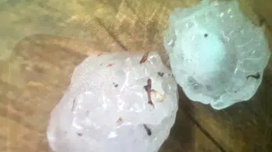 Osmancık’a Ceviz Büyüklüğünde Dolu Yağdı