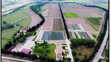 Samsun’da Yılda 134 Cinste Üretilen 10 Milyon Fidan Türkiye’yi Yeşillendiriyor
