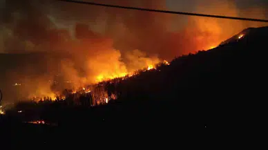 Selçuk’taki Yangında Felaket Büyüyor