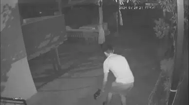 Şortlu, Terlikli, Rahat Tutumlu Yavru Kedi Hırsızı Kamerada