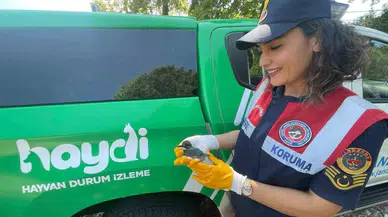 Tedavisinin Akabinde Tabiata Salındı