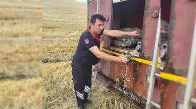 Yangında Yaralanan Kaplumbağayı İtfaiye Kurtardı