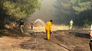 Yangına Müdahale Eden Gruplar Alevlerin İçinde Kaldı