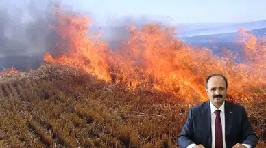 Anız Yakma, Geleceğini Karartma