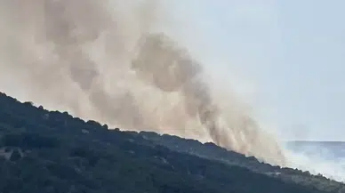 Anız Yangını Ormana Sıçradı