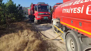 Anız Yangınlarıyla İlgili Endişe Verici Rakam