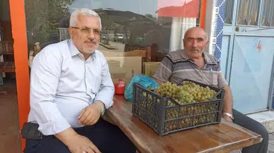 Bağ Bozumu ve Üzüm Hasadı Başladı