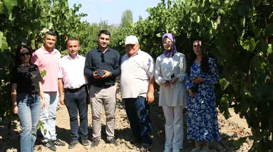 Bağcılık Yapan Üreticilere Ziyaret