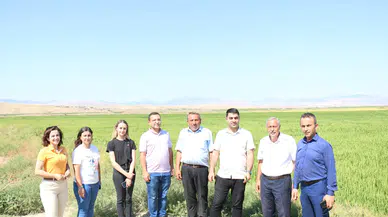 Çeltik Üreticileri Bilgilendiriliyor