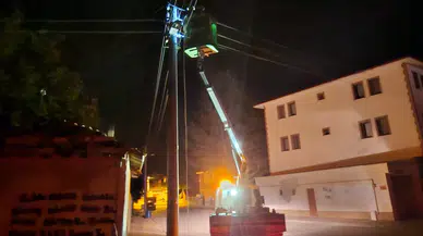 Elektrik Direğine Çarpıp Kaçtı