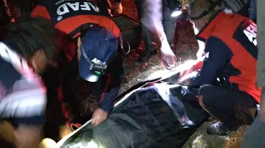 Hayvanları Otlatmak İçin Çıkan Çobanın Cansız Bedeni Bulundu