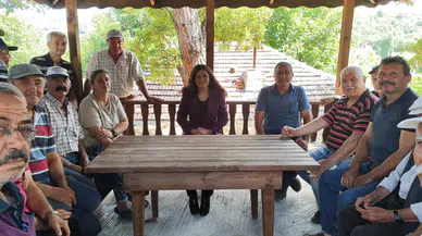 Kaymakam, Köy Halkını Dinledi