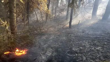 Orman Yangını Çıktı, Büyümeden Söndürüldü