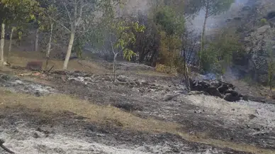 Osmancık’ta Anız Yangını