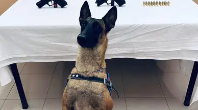 Polis ve Jandarma, Suçlulara Göz Açtırmıyor