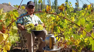 ‘Sungurlu Beyazı’na Uluslararası İnceleme'