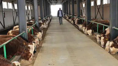 ‘Yatırımlara Yüzde 60 İle 75 Arasında Destek’